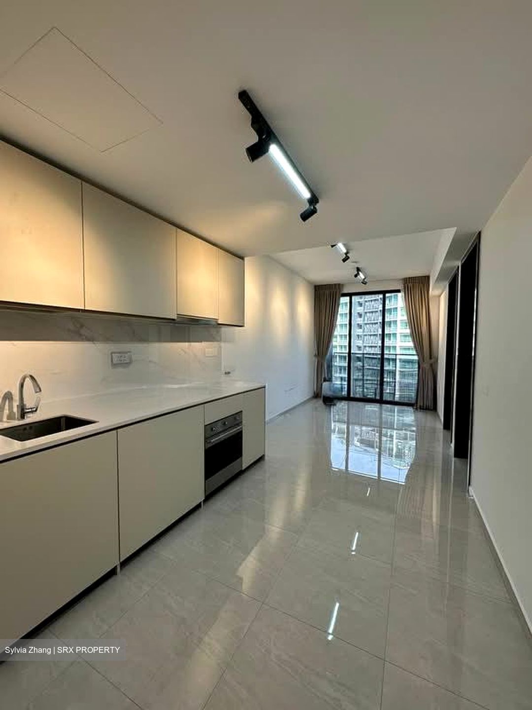 Kopar At Newton (D9), Apartment #546561691